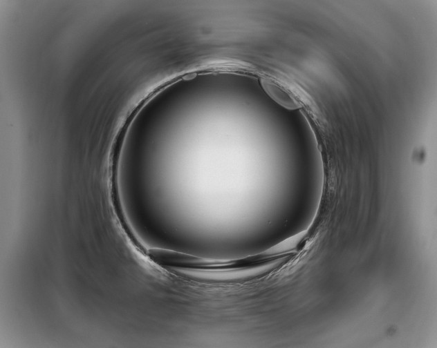 X0000099291430200805021221