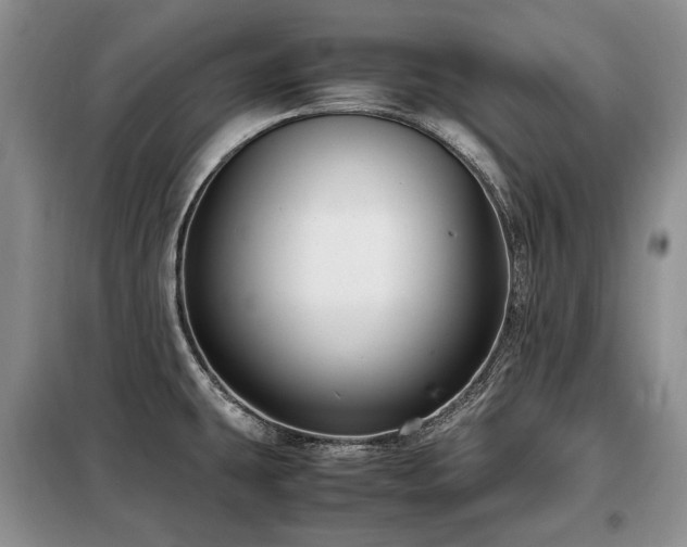 X0000099291431200805021221