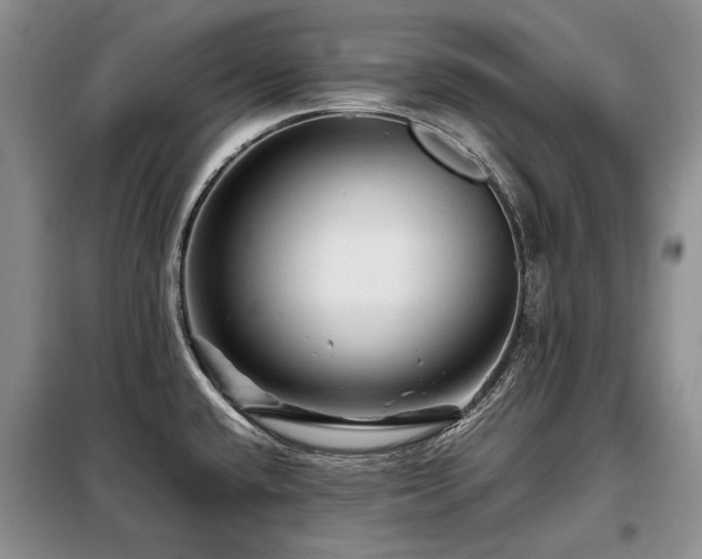 X0000099291432200805021221