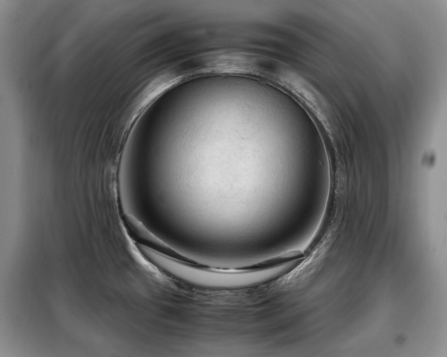 X0000099291433200805021221