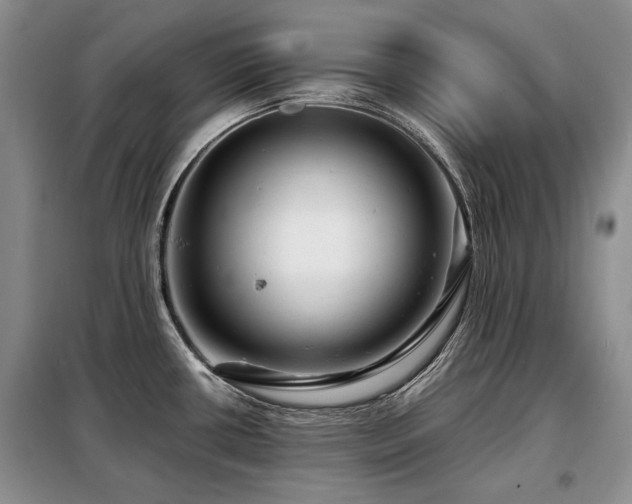 X0000099291434200805021221