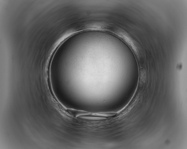 X0000099291435200805021221