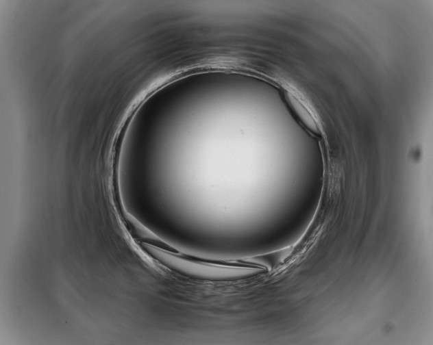X0000099291437200805021221