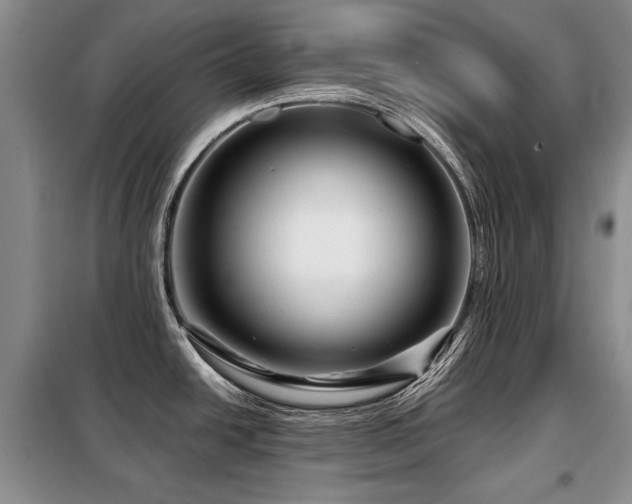 X0000099291438200805021221