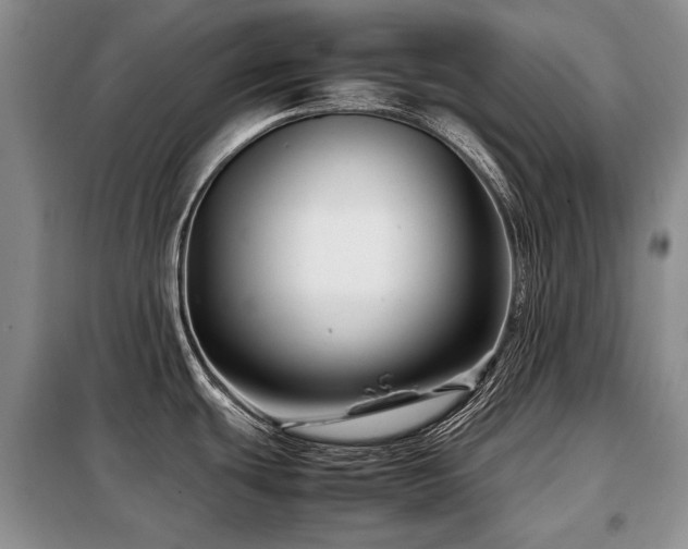 X0000099291439200805021221