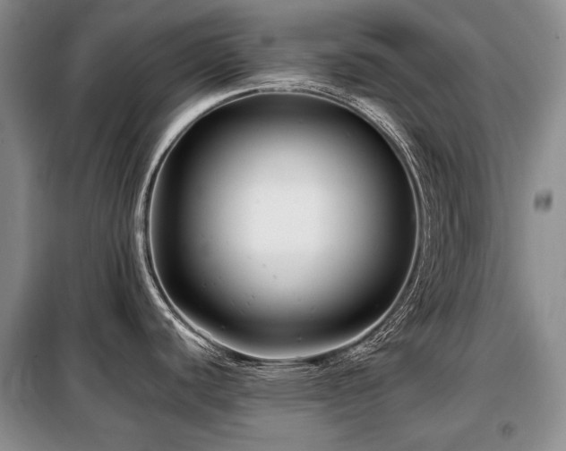 X0000099291440200805021221