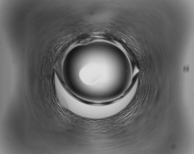 X0000099291441200805021221