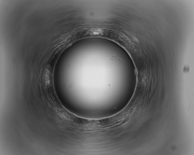 X0000099291442200805021220