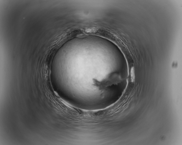 X0000099291443200805021220