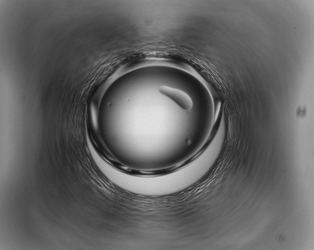 X0000099291444200805021220