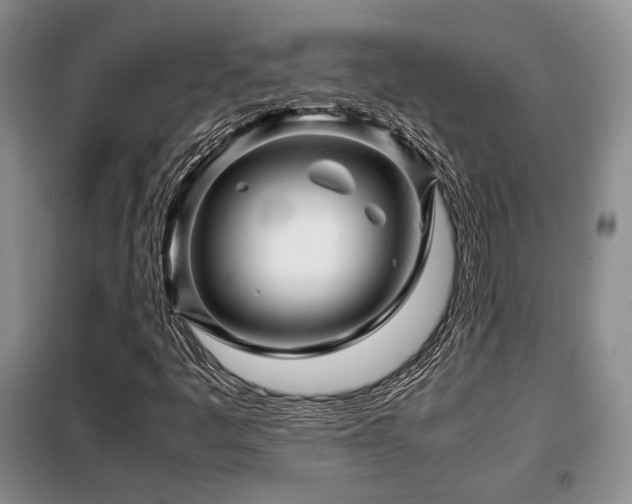 X0000099291445200805021220