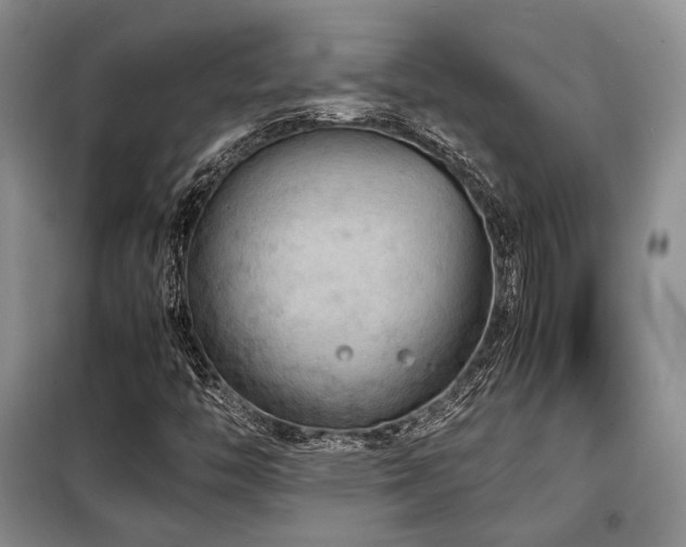 X0000099291446200805021220