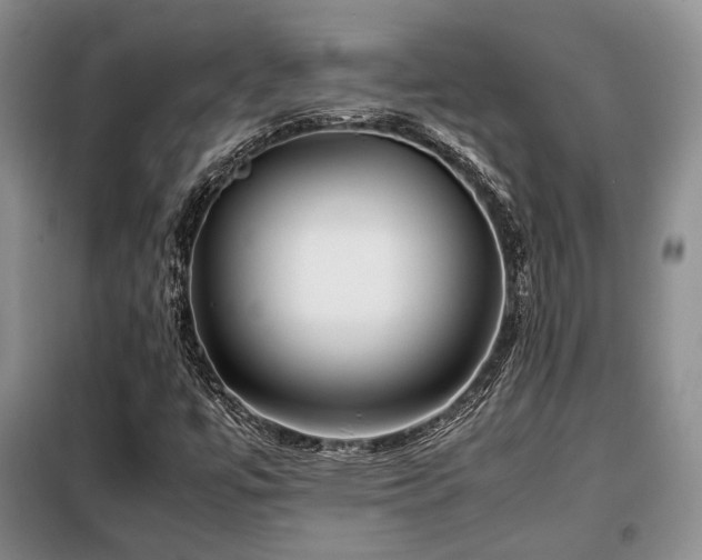 X0000099291447200805021220