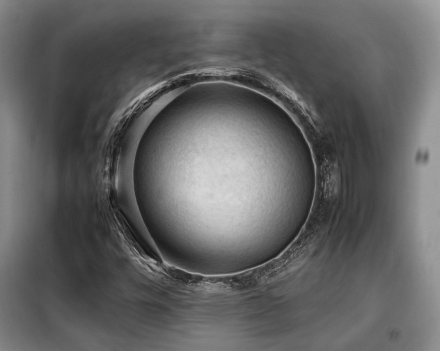 X0000099291448200805021220