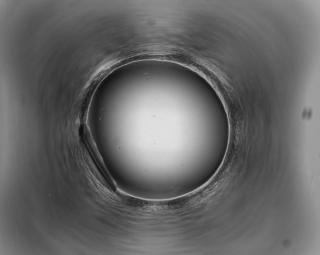 X0000099291451200805021220