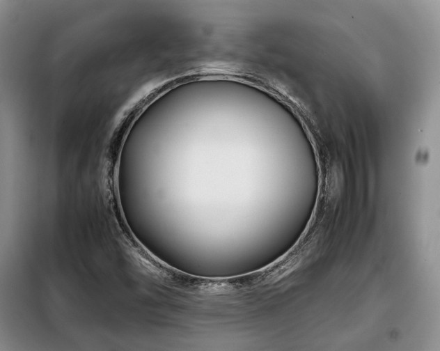 X0000099291454200805021220
