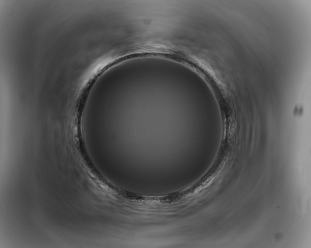X0000099291455200805021220