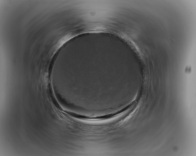 X0000099291457200805021220