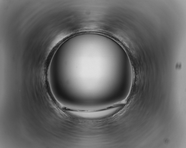 X0000099291458200805021220