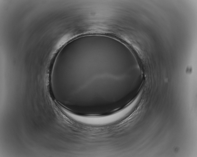 X0000099291459200805021220