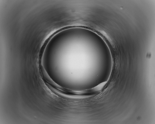 X0000099291460200805021220