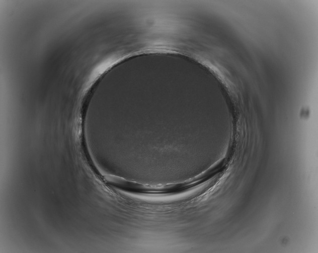 X0000099291461200805021220