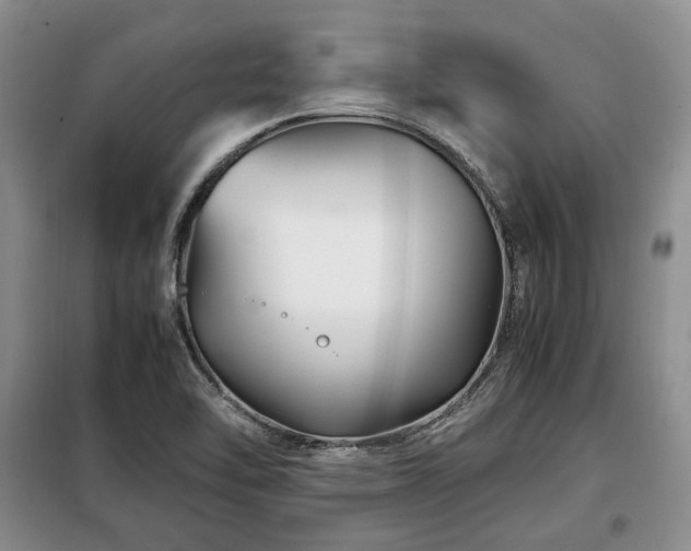 X0000099291462200805021220