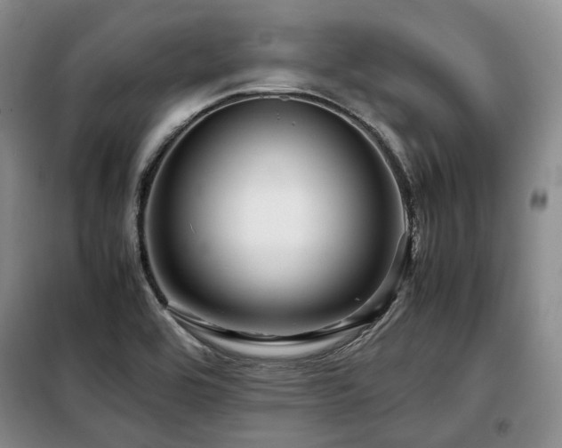 X0000099291464200805021220
