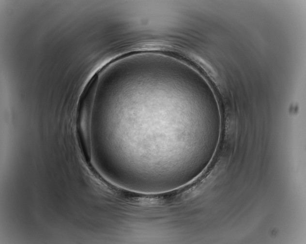 X0000099291465200805021220