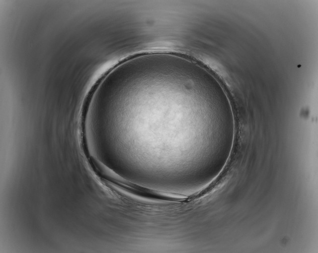 X0000099291469200805021220