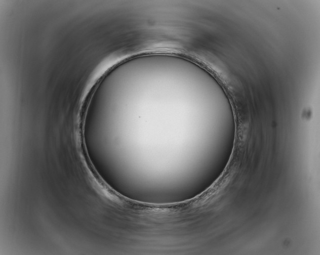 X0000099291470200805021220