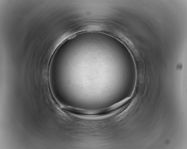 X0000099291473200805021220