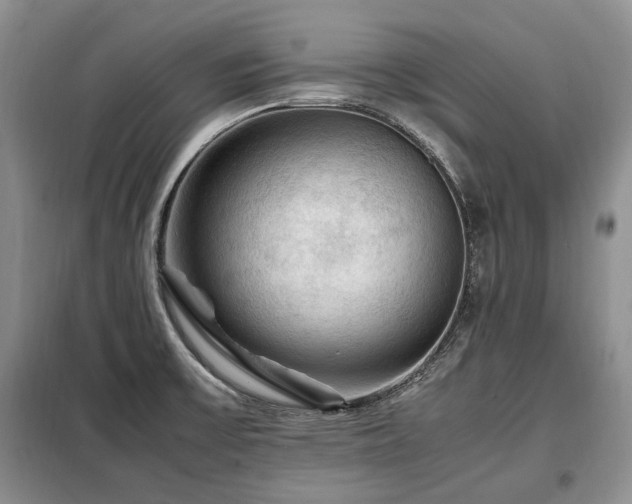 X0000099291475200805021220