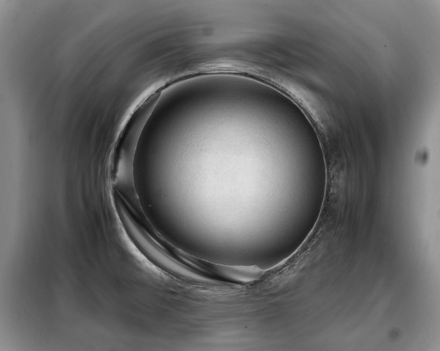 X0000099291476200805021220