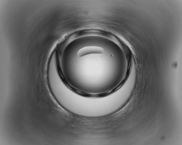 X0000099291477200805021220