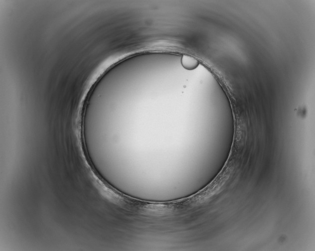 X0000099291478200805021220