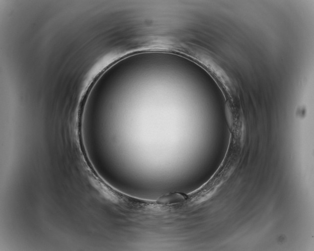 X0000099291480200805021220