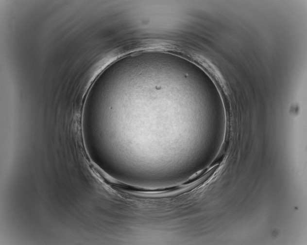 X0000099291481200805021220