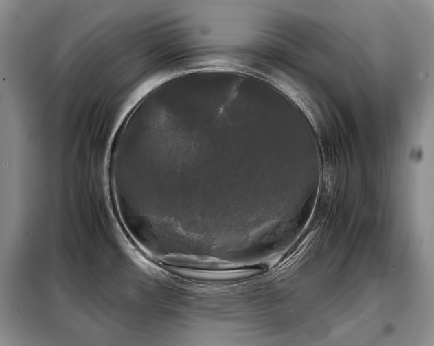 X0000099291482200805021220