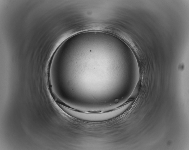 X0000099291483200805021220