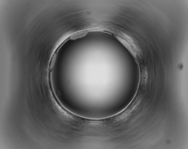 X0000099291484200805021220