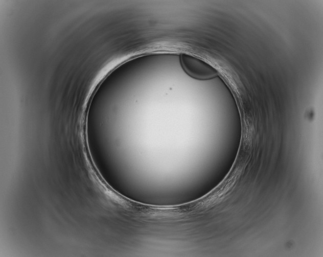 X0000099291486200805021220