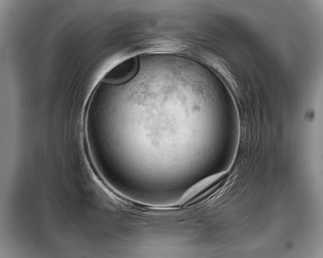 X0000099291487200805021220