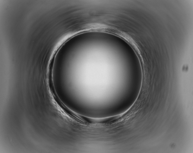 X0000099291488200805021220