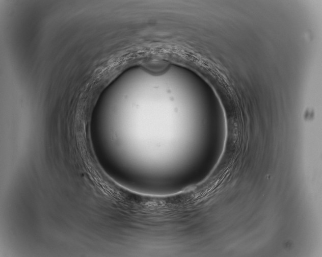 X0000099291489200805021219
