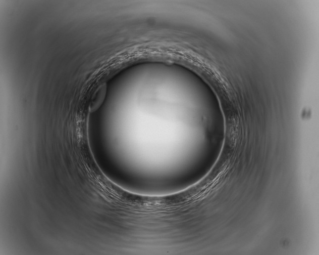 X0000099291490200805021219