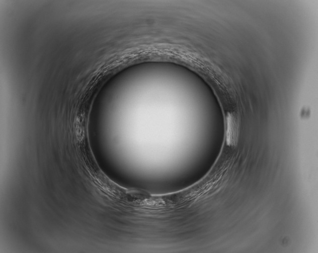 X0000099291491200805021219