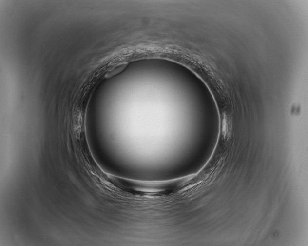 X0000099291492200805021219