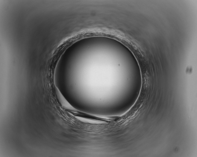 X0000099291494200805021219