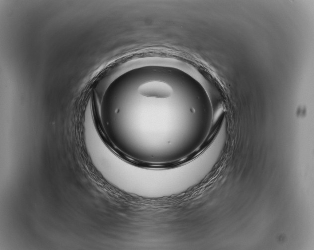 X0000099291496200805021219